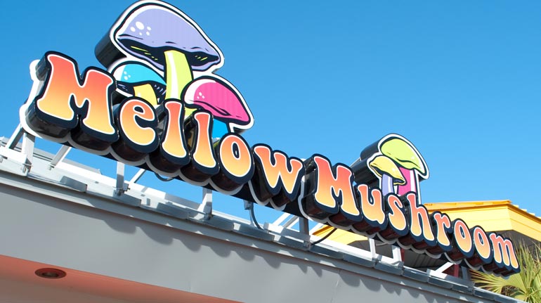 Mellow Mushroom, Myrtle Beach, SC